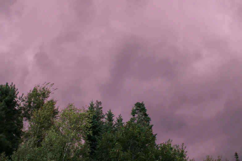 a dark pink sky with white clouds and trees in the foreground