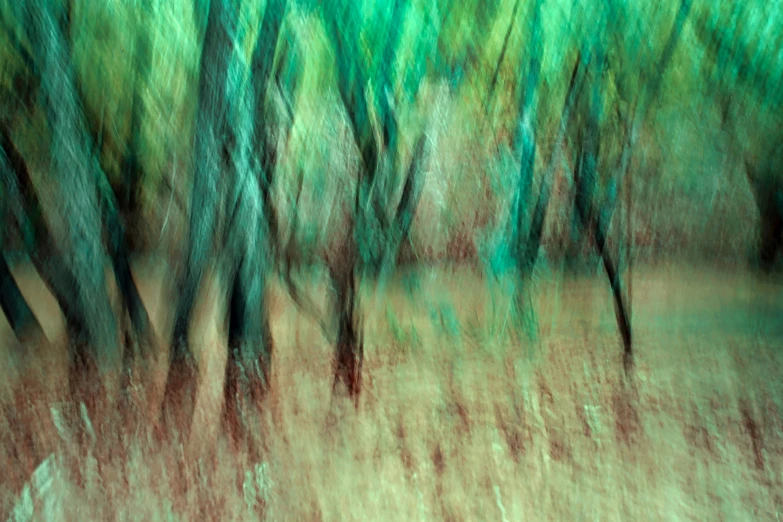 the blurry trees have green leaves in them