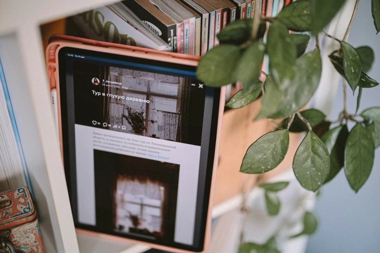 the books are on the shelf and on the computer screen