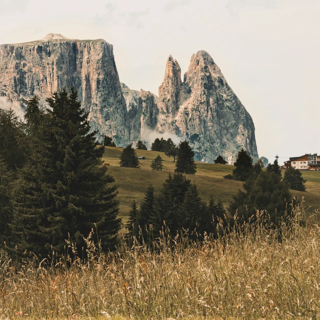 a large grassy area with tall mountains in the distance