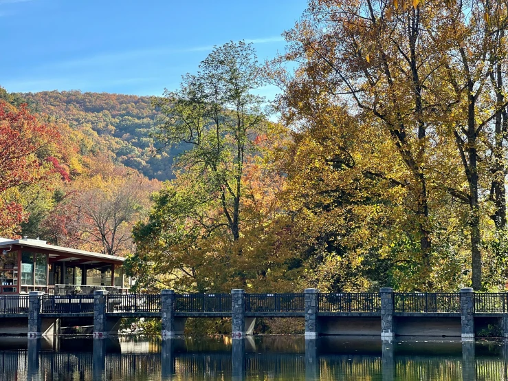 people fishing in the water with a bridge over them