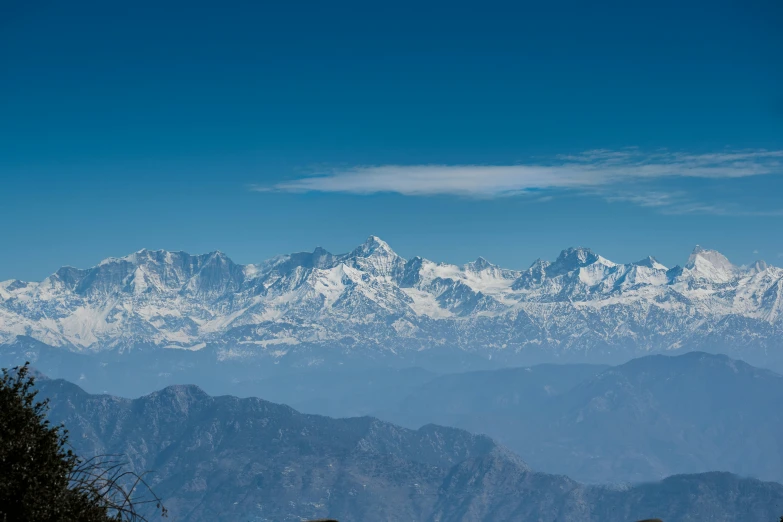 large mountain range in distance with trees and bushes