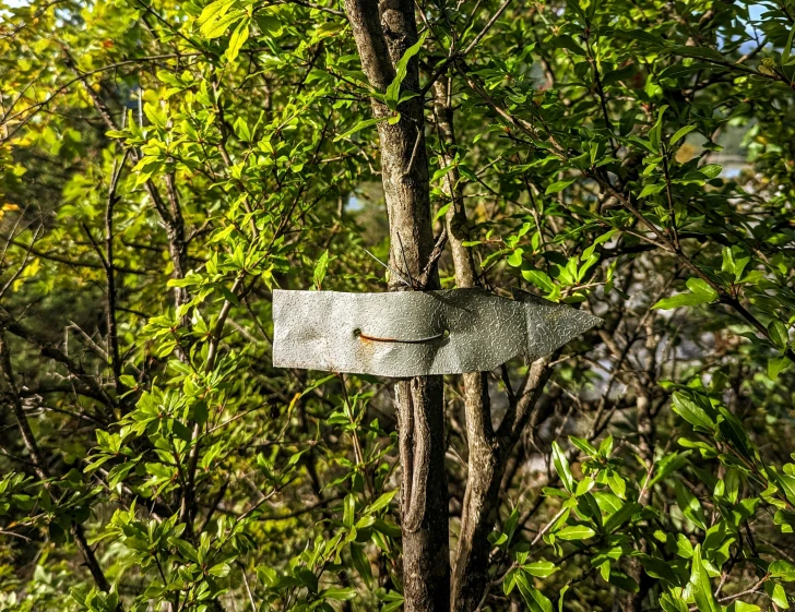 an image of a wooden sign stuck in the trees