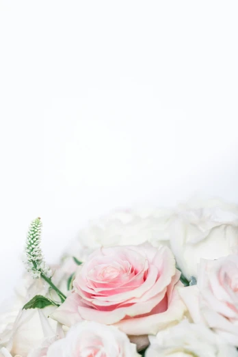 close up of a bouquet of flowers against a white background