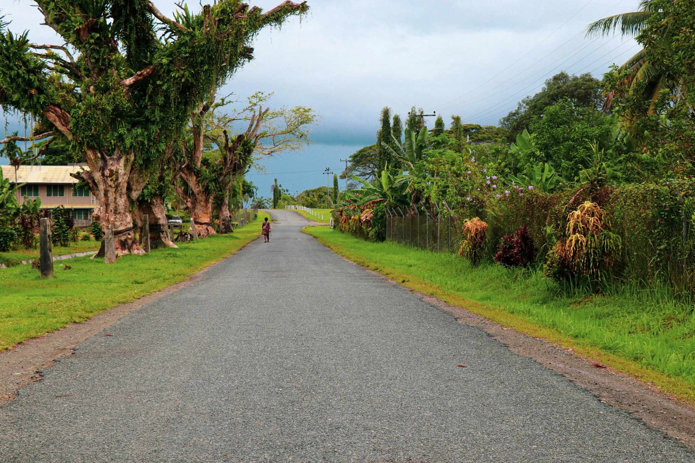 a single person riding a bike down a driveway