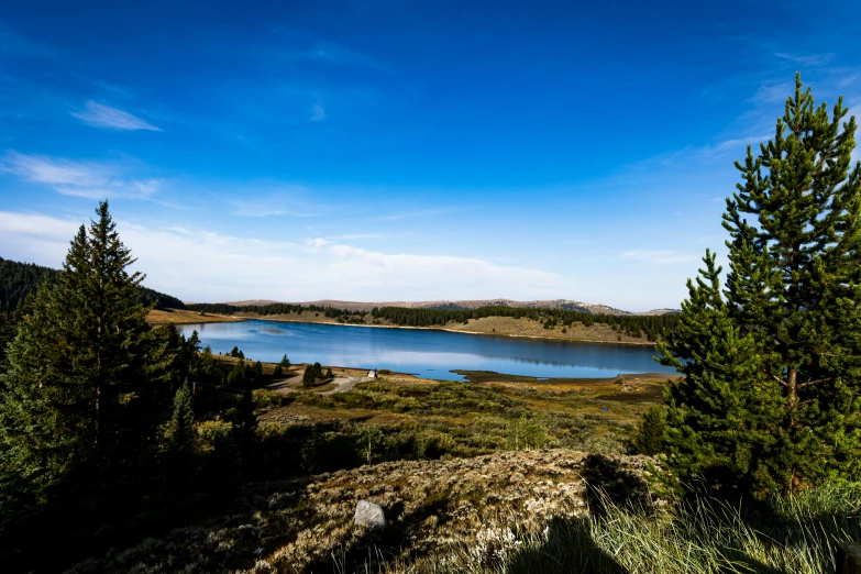 a view of a lake surrounded by trees