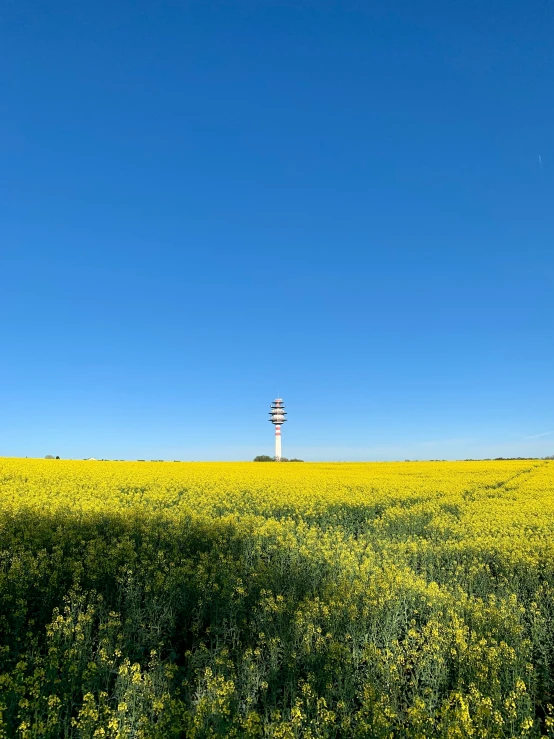 the tower in the field is seen from the grass