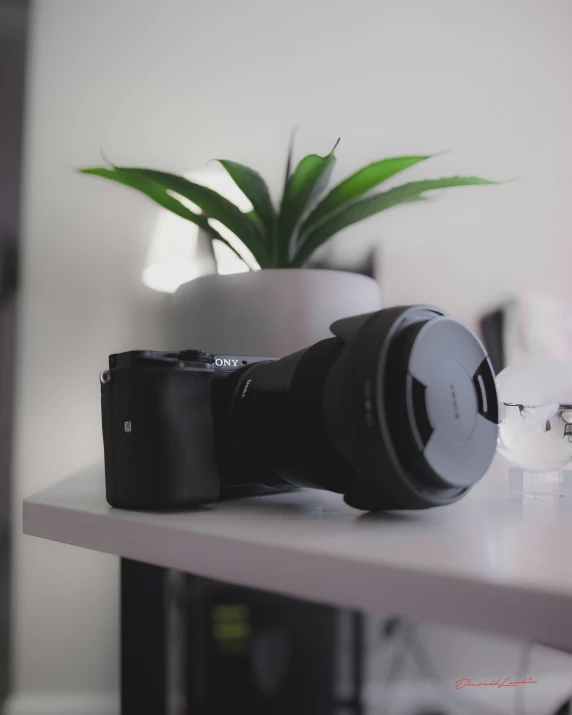 the front of a camera and a flower in a pot