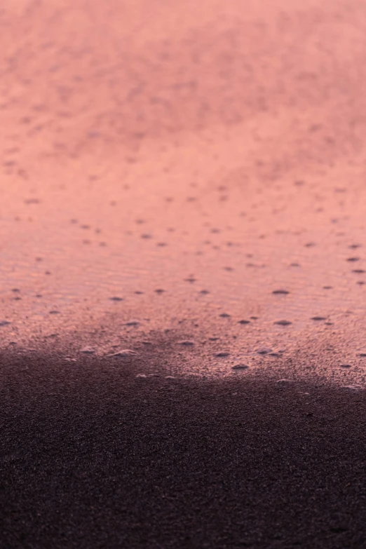 a bird standing on a sand dune with a pink sky background