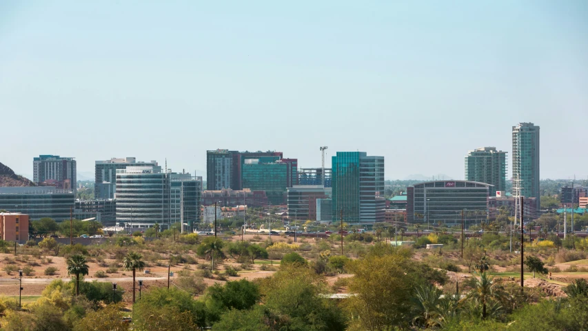 the skyline of a large city on a clear day