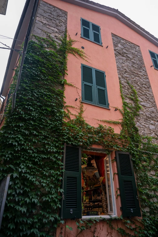 the outside of a building that has ivy growing on it