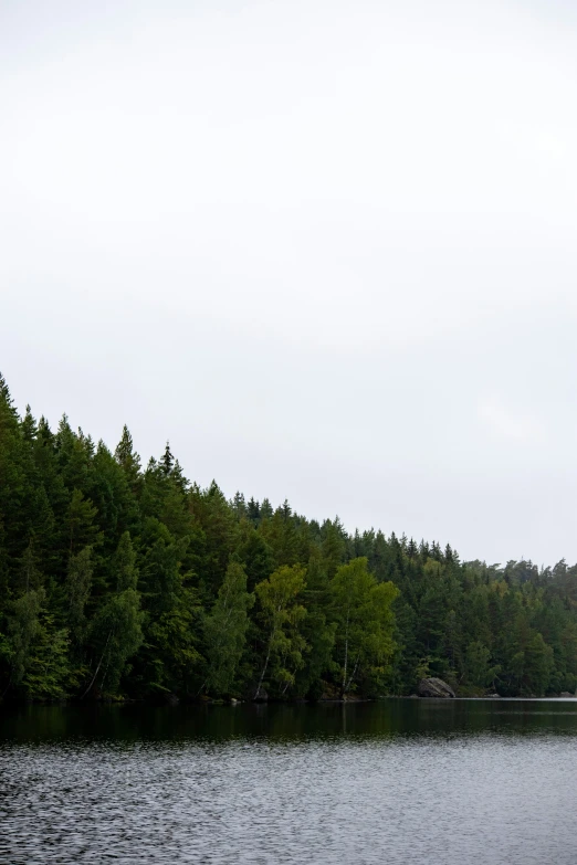 a plane is flying over a lake and forest