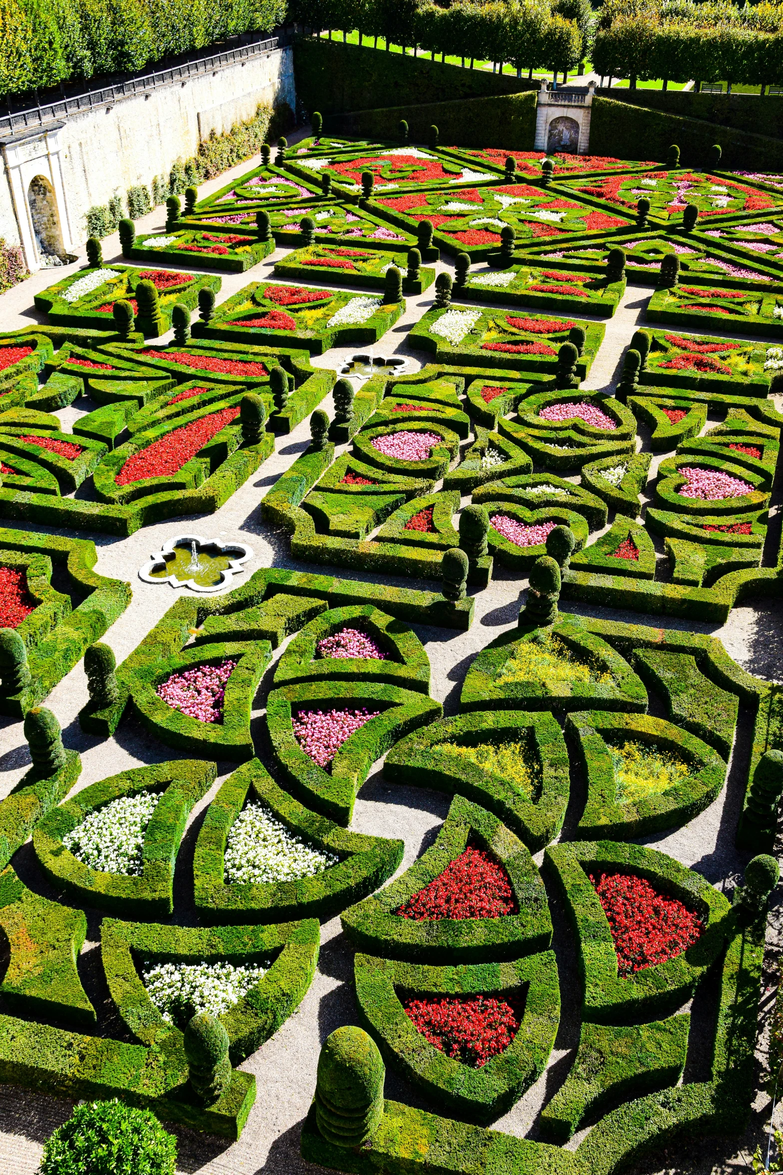 an ornamental garden area with red and pink flowers