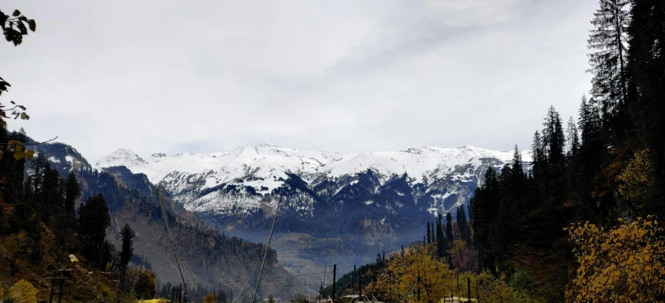 the mountains in the background are filled with trees