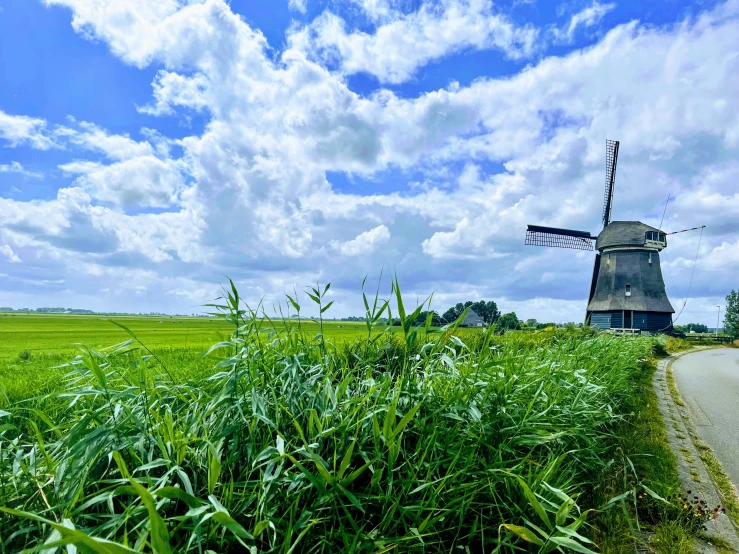 windmills in a large open field and one with a pathway