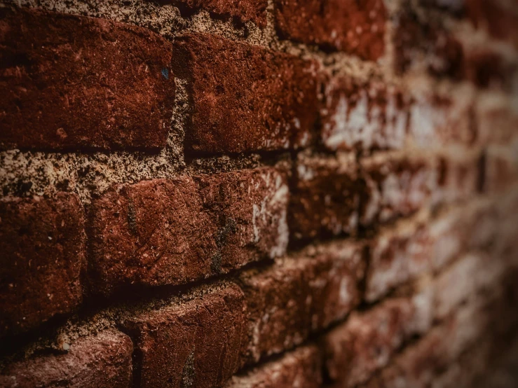 close up of red bricks on a wall