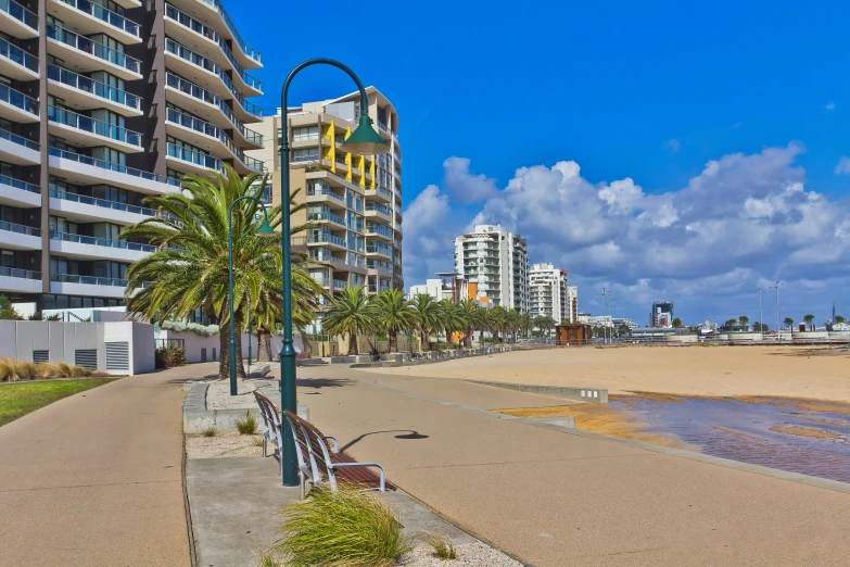 a long beach has palm trees and buildings on the side