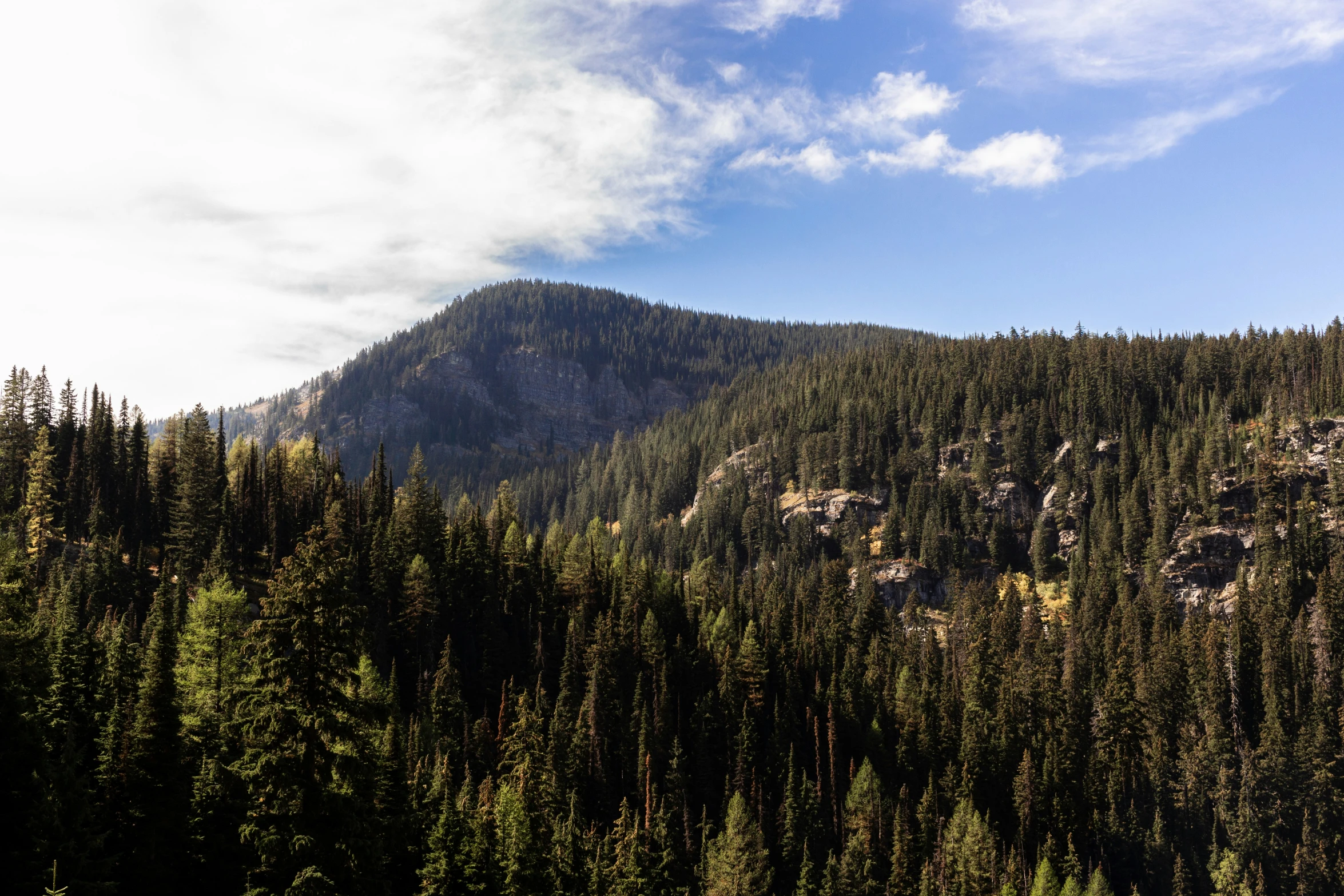 a scenic view of a forest with mountains in the distance