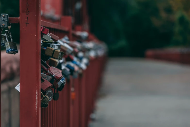 there is an image of many locks on the red gate