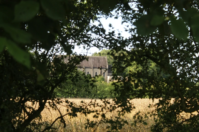 a view from the trees of a building