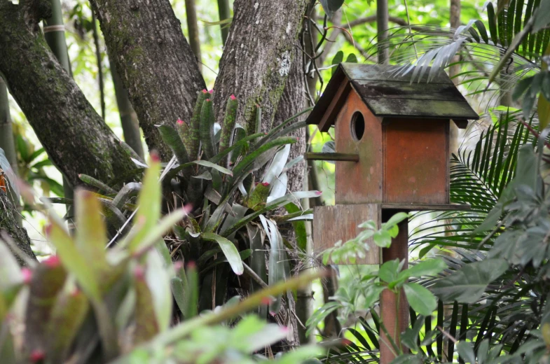 a bird house that is hanging from a tree