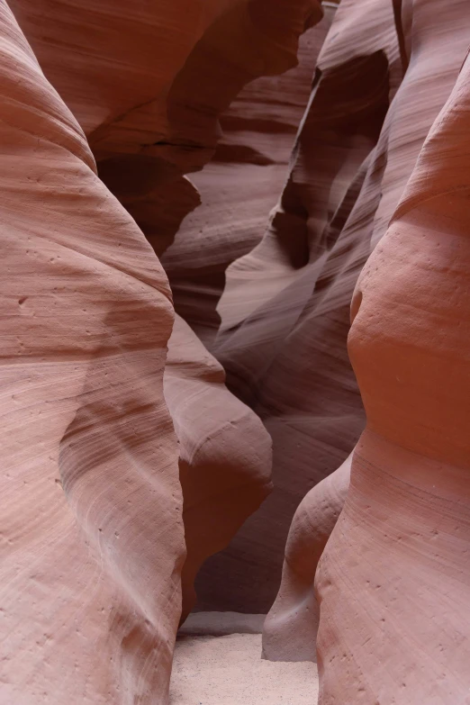 a slot between some rocks and a plant