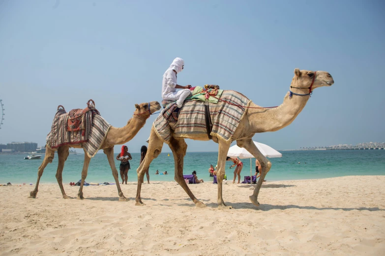 a man is riding a camel on a sandy beach