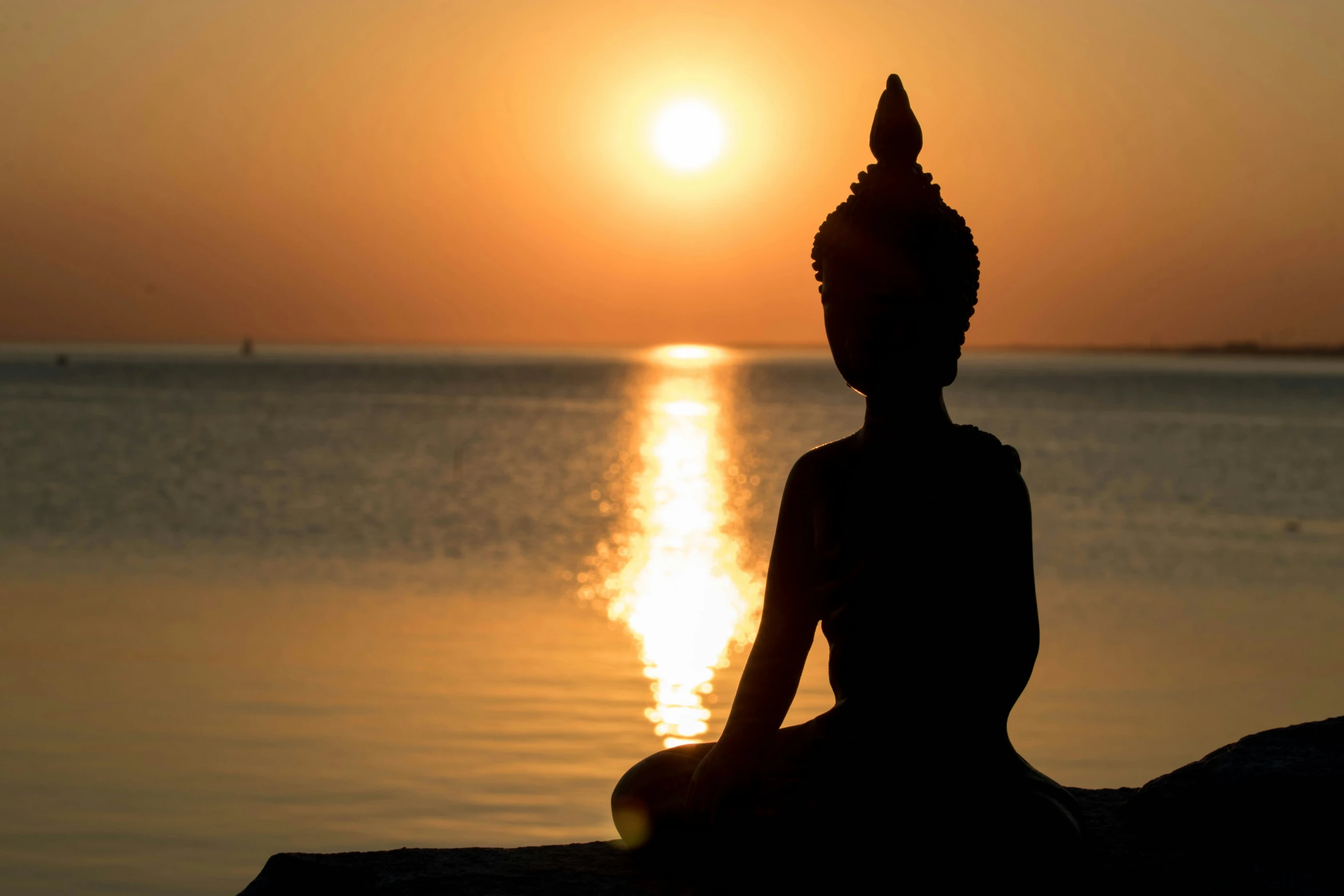 a person sitting on the shore with the sun setting