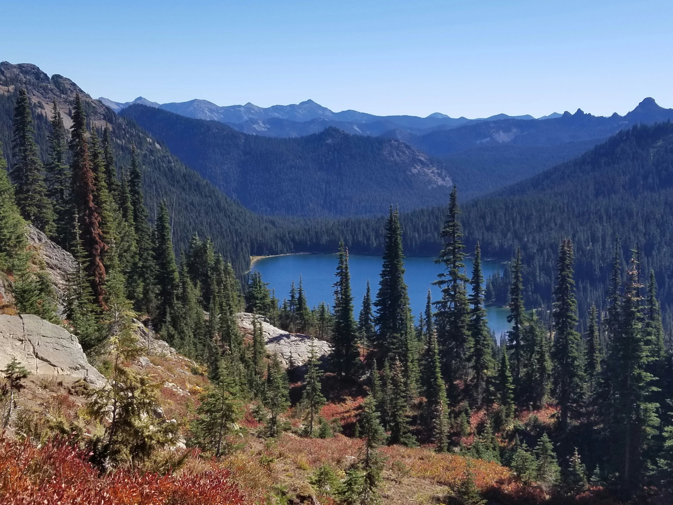 a view of a beautiful lake in the woods