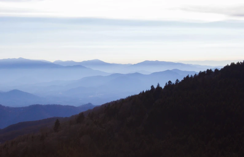 a foggy and gloomy day at the top of a mountain