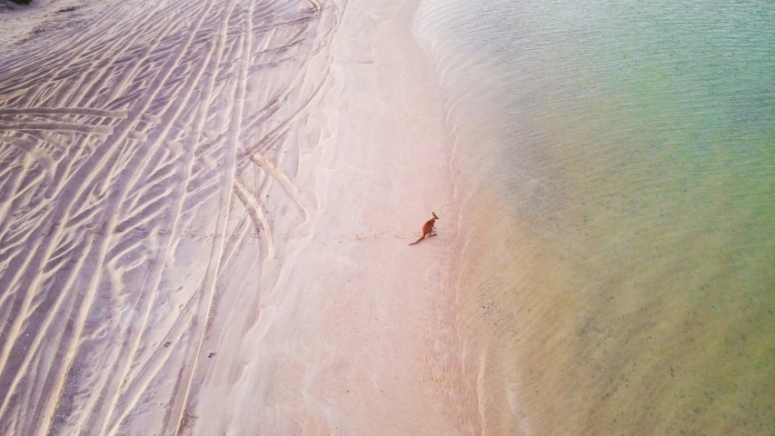 a beach is being pographed by an aerial view