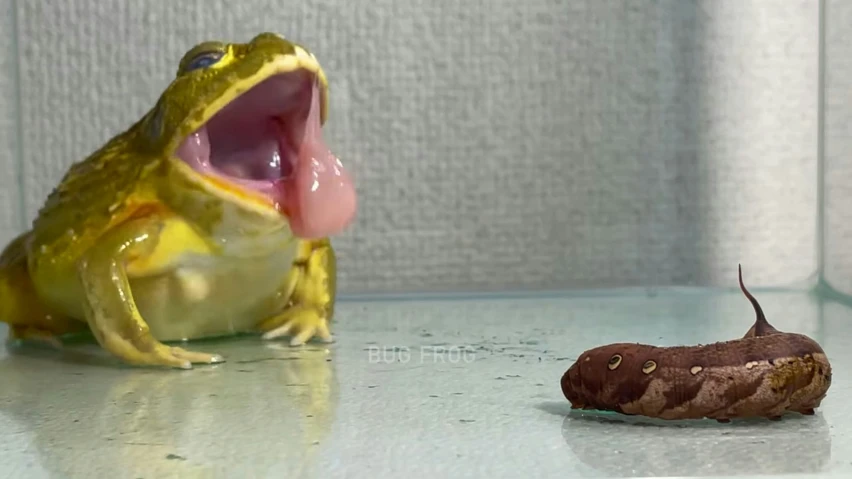 a stuffed toy with its mouth open next to a chocolate donut