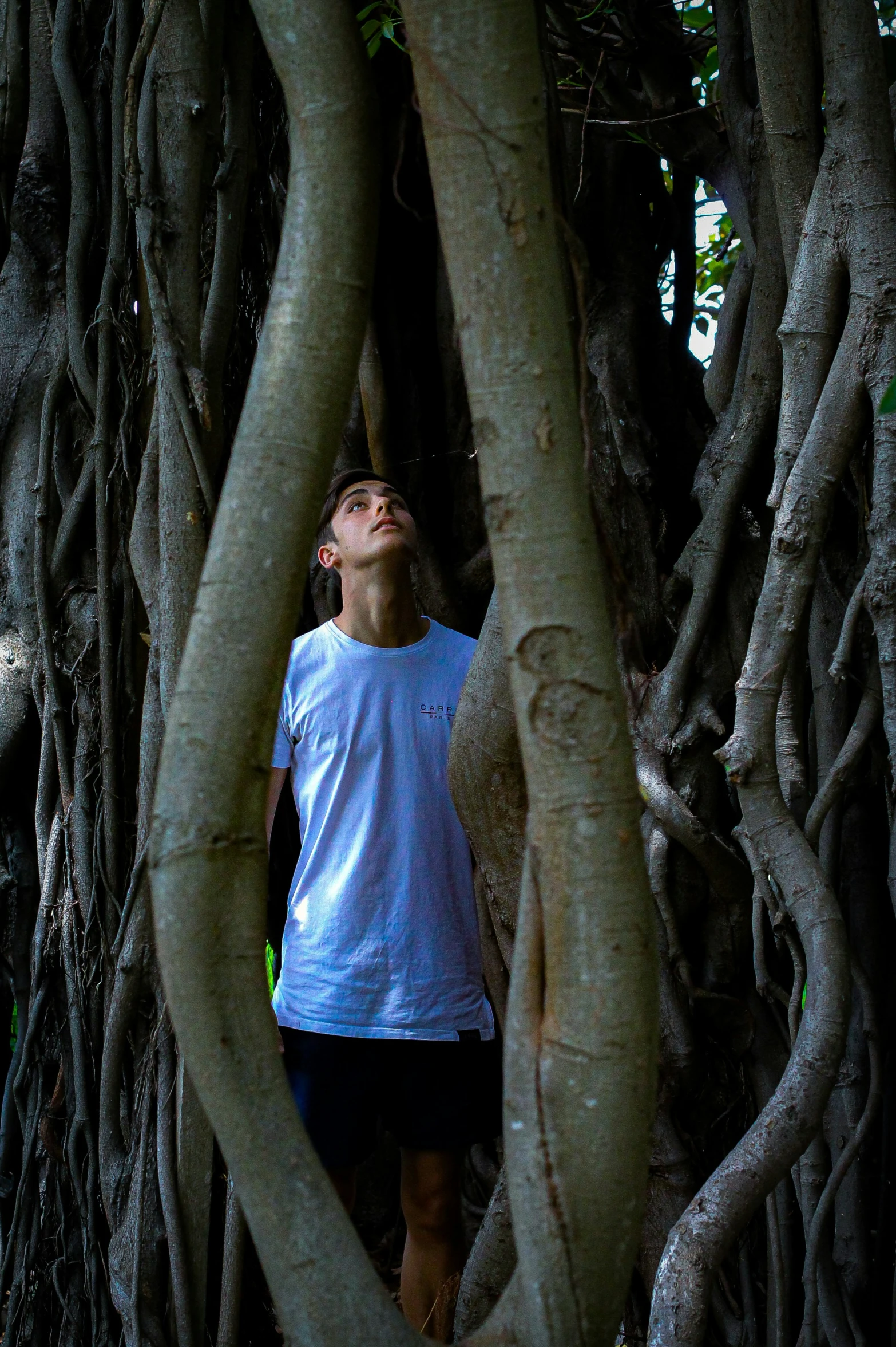 a man looks up from some tree roots