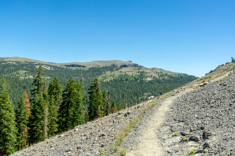 the trail up in the mountains leading into some trees