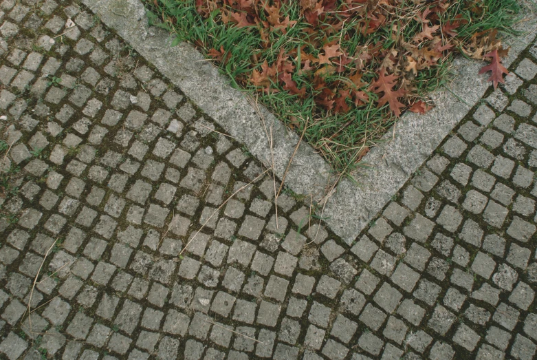 a lone white umbrella lying on top of a grass covered sidewalk