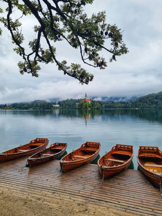 boats lined up on the dock near a lake