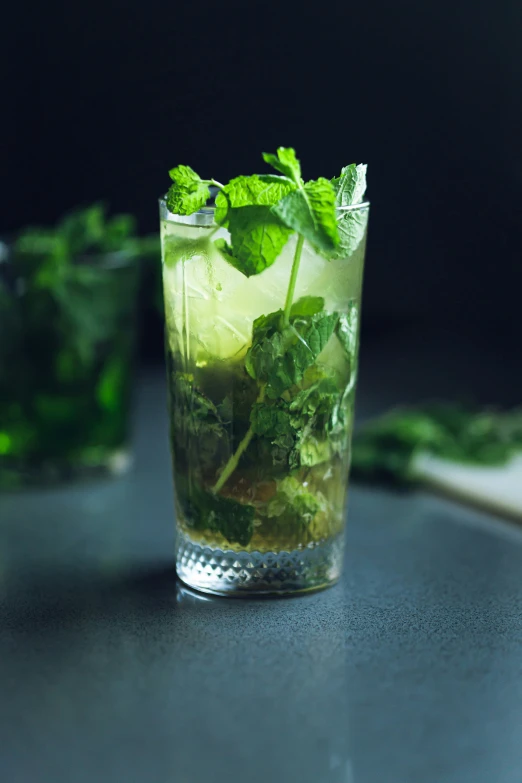 two glasses of alcoholic drinks with mint and ice