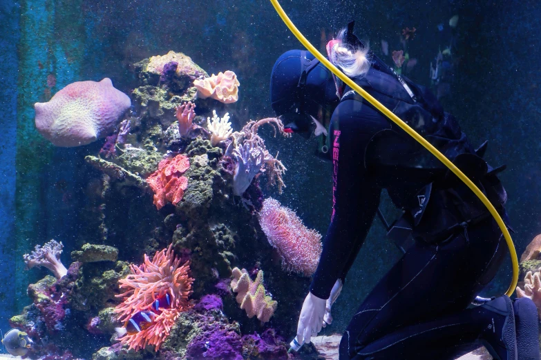 an underwater man in diving gear is inspecting a coral reef