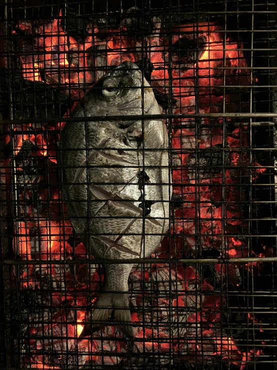 an art work of a sculpture sitting in a cage