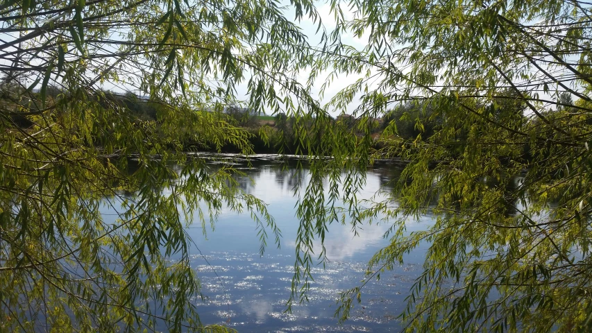 a clear river with small patches of water in the foreground