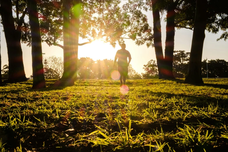 the silhouettes of two people under some trees