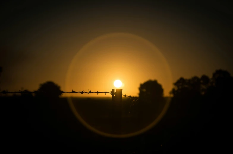 a po taken through a circle using a telescope lens to see the sun set in a background