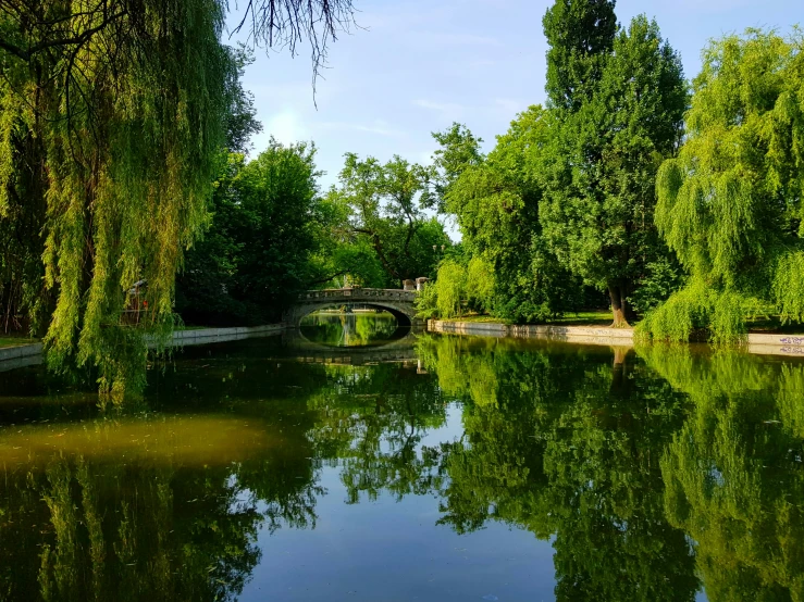 a beautiful reflection of a bridge across a body of water