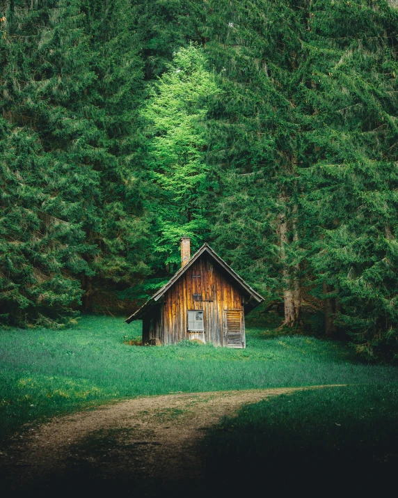 this cabin is on the other side of a road