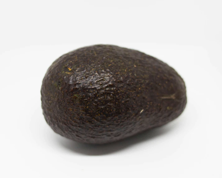 an avocado, isolated against a white background