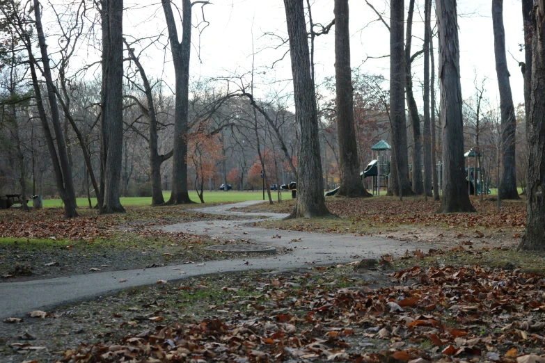 a park with trees and grass and a dirt path