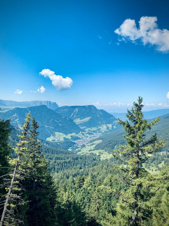 a forest filled with green trees sitting below a sky