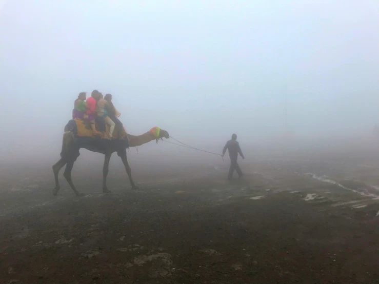 a group of people riding on the back of a camel