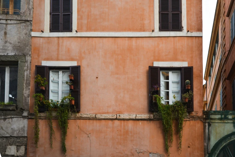 a building with two windows and plants growing out of them