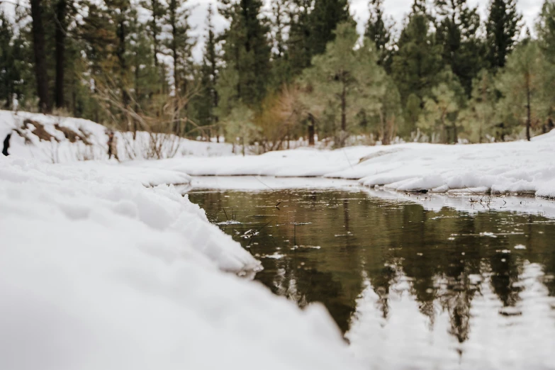 an icy stream running through a wooded area